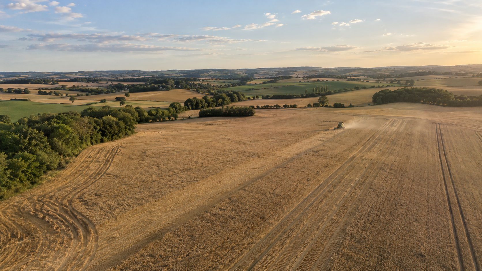 Moissonneuse au travail dans une parcelle de céréales du Gers
